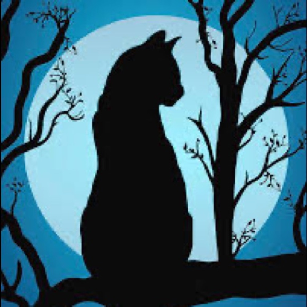 Meet your Posher, Lindsay